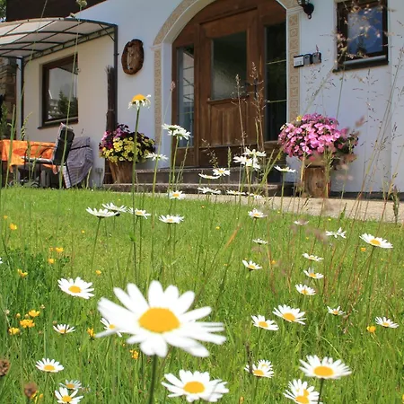 Haus Alice Seefeld in Tirol